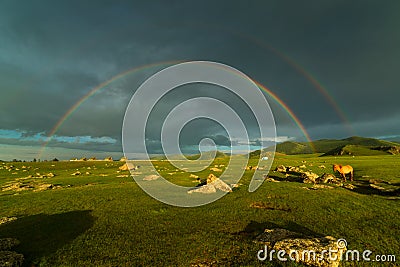 Landscape with a double rainbow over a wide field and grazing horse Stock Photo
