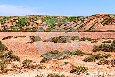 Dry cracked takir soil in semi-desert in Russia. Nature landscape Stock Photo