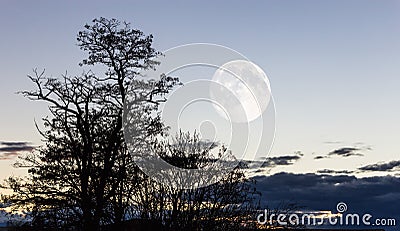 Landscape at dusk Stock Photo