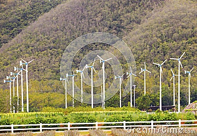 Landscape of eco windmill turbines fan in agriculture farm for Stock Photo
