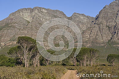 Landscape of Elandsberg Nature Reserve in the Western Cape, South Africa Stock Photo