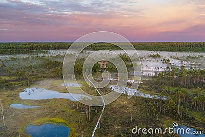 Landscape on the Estonian Viru swamp in the early summer morning Stock Photo