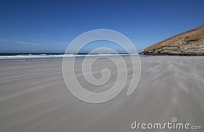 Landscape Falklands Malvinas Stock Photo