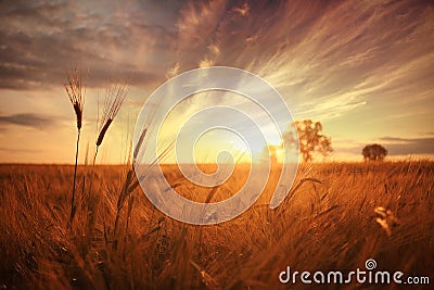 Landscape fantastic sunset Stock Photo