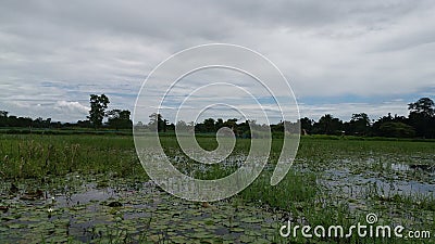 Landscape farming sky cloudy Stock Photo