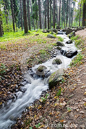 landscape with fast forest stream with stones in summer Stock Photo