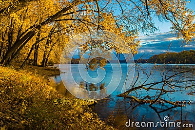 Autumn leaves at sunrise on the Connecticut River Stock Photo