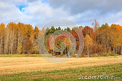 Landscape field trees autumn colors Stock Photo