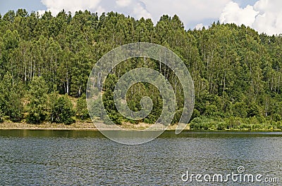 Landscape with floating island, part peat two metre deep with vegetation and animals in Vlasina mountain lake, anchored to shore Stock Photo