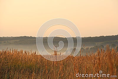 Landscape with fog. Stock Photo