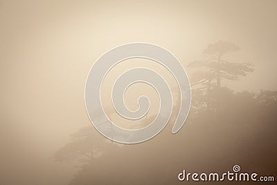 Landscape of fog mountains of china Stock Photo