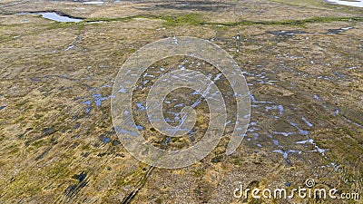 Landscape of the forest-tundra, aerial view, traces of caterpillar equipment on the surface of tundra vegetation, nature Stock Photo