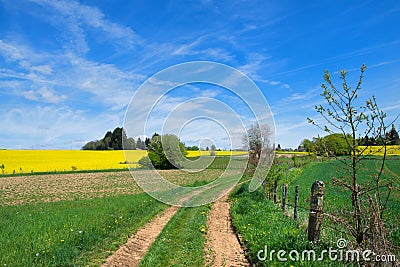 Landscape French Limousin with seed Stock Photo