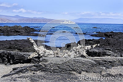 Landscape of the Galapagos Islands Stock Photo