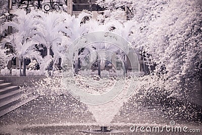 Landscape garden tree and grass(Infra-red photo ) Stock Photo