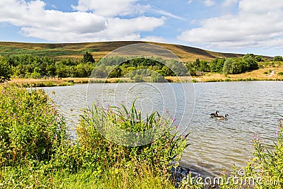 Garn Lakes Local Nature Reserve in Blaenavon, Wales, UK Stock Photo
