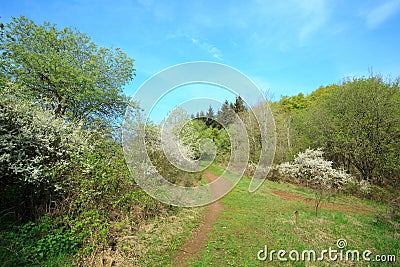 Landscape German Eifel Stock Photo