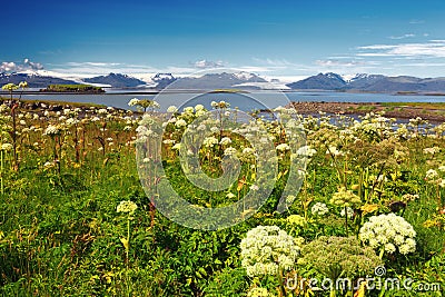 Landscape of glaciers from Hofn, Iceland Stock Photo