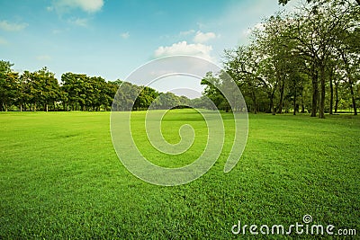 Landscape of grass field and green environment public park use a Stock Photo