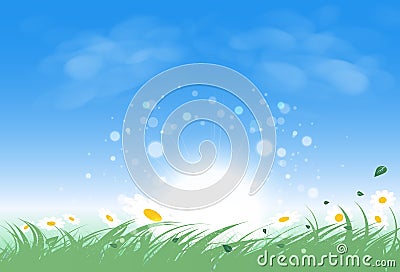 Landscape grass field with sun rise shines brightly, leaves and Vector Illustration