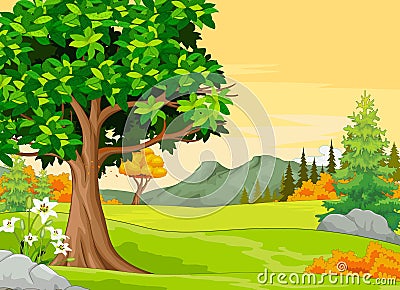 Landscape Grass Field View With Trees and White Flowers Cartoon Vector Illustration Vector Illustration