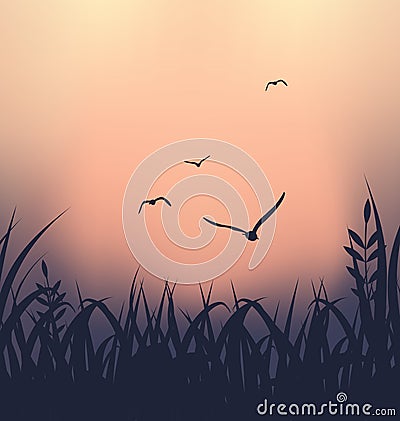 Landscape with grass and flying seagulls Vector Illustration