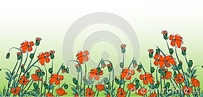 Landscape With Grass And Poppy, Vector Illustration Vector Illustration