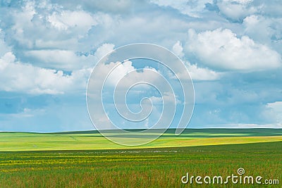 The landscape of the grassland in Hulun Buir Stock Photo