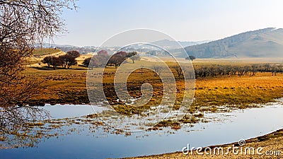 Landscape Stock Photo