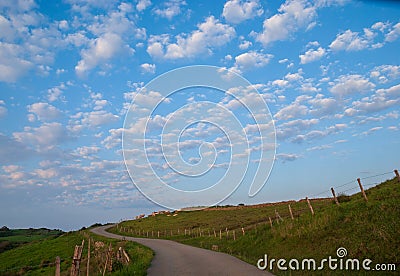 Landscape of green fenced meadows, road and blue sky with clouds Stock Photo