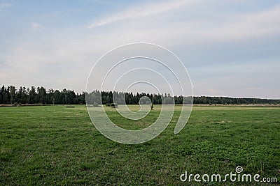 Landscape with a green field and blue sky Stock Photo