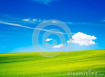 Landscape with Green Field and Blue Sky in Summer Stock Photo