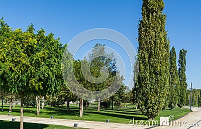 Landscape with green grass, ornamental and evergreen trees. Public landscape Ñity park `Krasnodar` or `Galitsky park` Stock Photo
