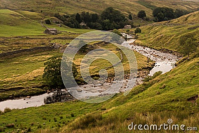 Landscape with green meadow, Yorkshire Dales, UK Stock Photo