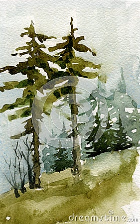 Landscape green pines and spruce, watercolor painting Stock Photo