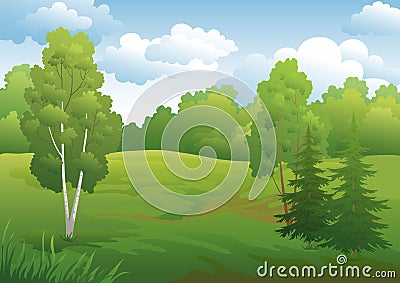 Landscape, green summer forest Vector Illustration