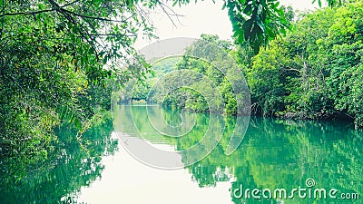 Landscape of green water and forest around Formoso river in Bonito MS, Brazil. Stock Photo