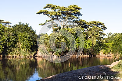 Landscape on Grumeti river. Stock Photo