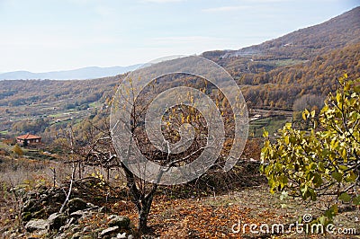 Landscape Guijo valley Stock Photo