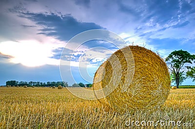 Landscape with hay roll Stock Photo