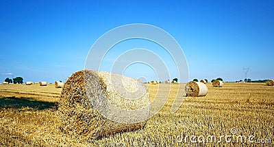 Landscape with hay roll Stock Photo