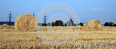 Landscape with hay roll Stock Photo