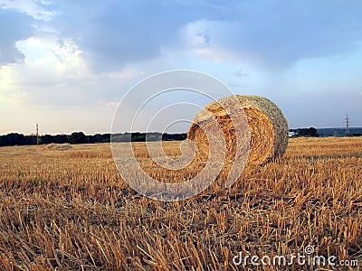 Landscape with hay roll Stock Photo