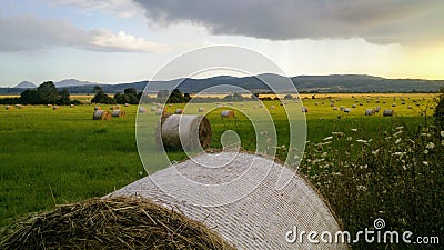 Hay rolls field in sunset 2/2 Stock Photo