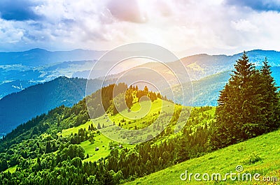 Landscape from height to mountain slopes, blue distance, meadow, tree. Stock Photo