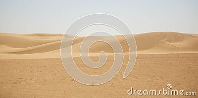 Landscape a herd of camels in the desert Stock Photo