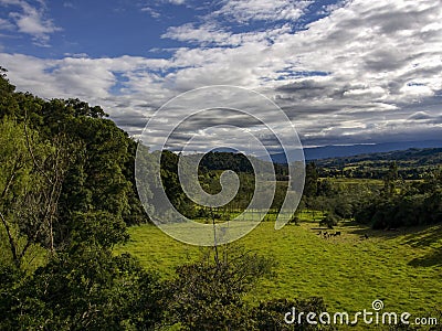 Landscape of the highlands of the central Andean mountains of Colombia Stock Photo