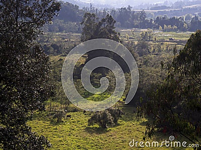 Landscape of the highlands of the central Andean mountains of Colombia Stock Photo