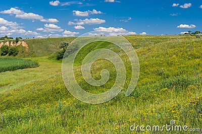 Landscape with hills overgrown with wild grasses in rural Ukrainian area Stock Photo