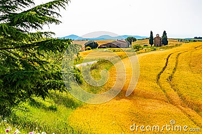 Landscape of the hilly tuscany field Stock Photo